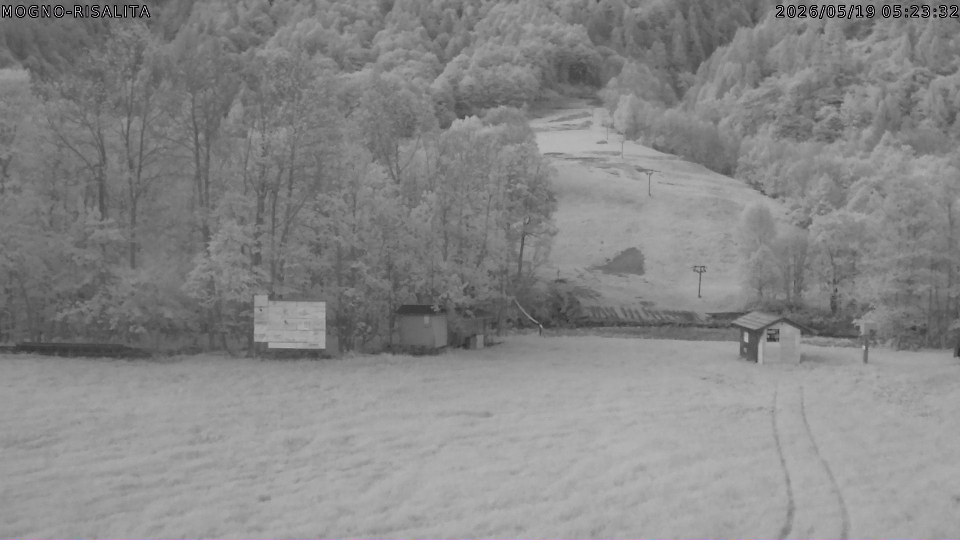 webcam mogno