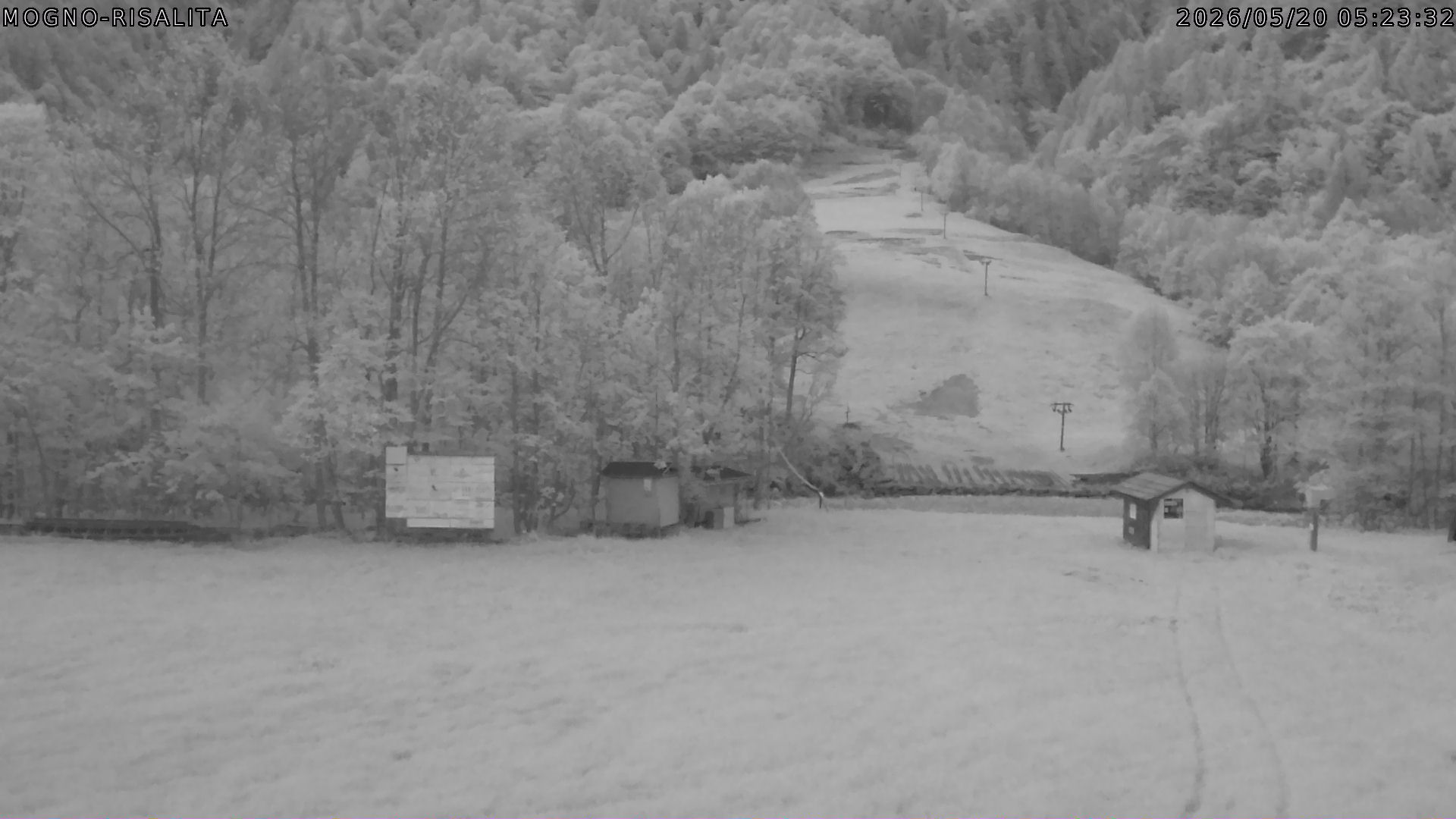 webcam mogno