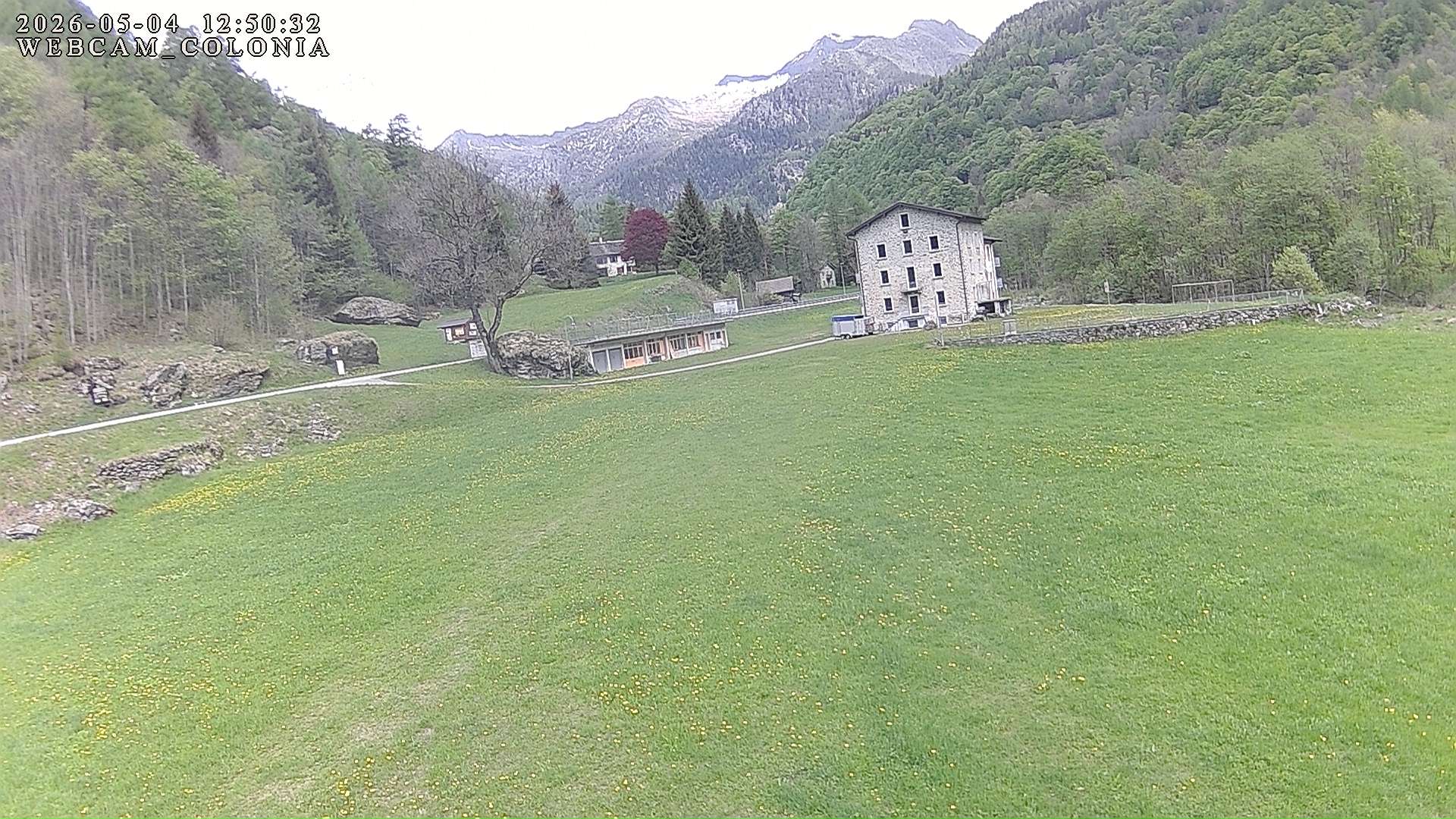 webcam mogno