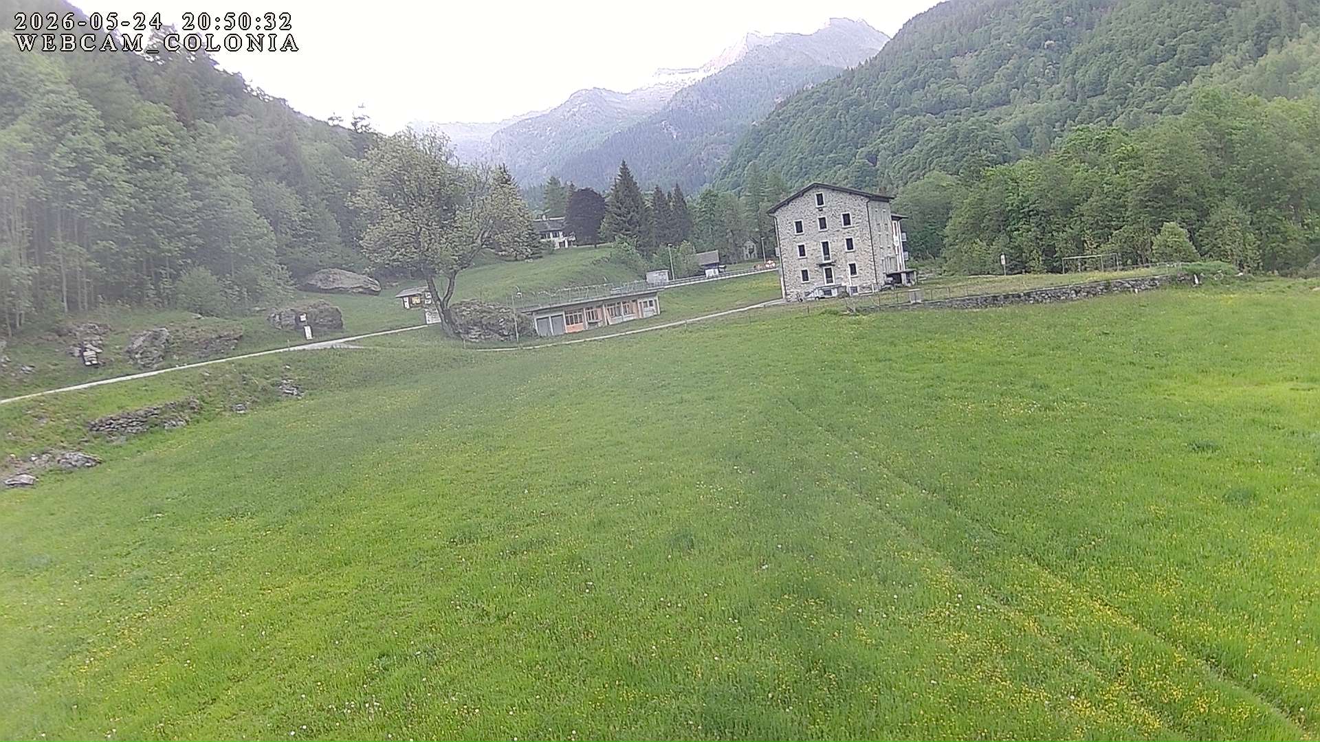 webcam mogno