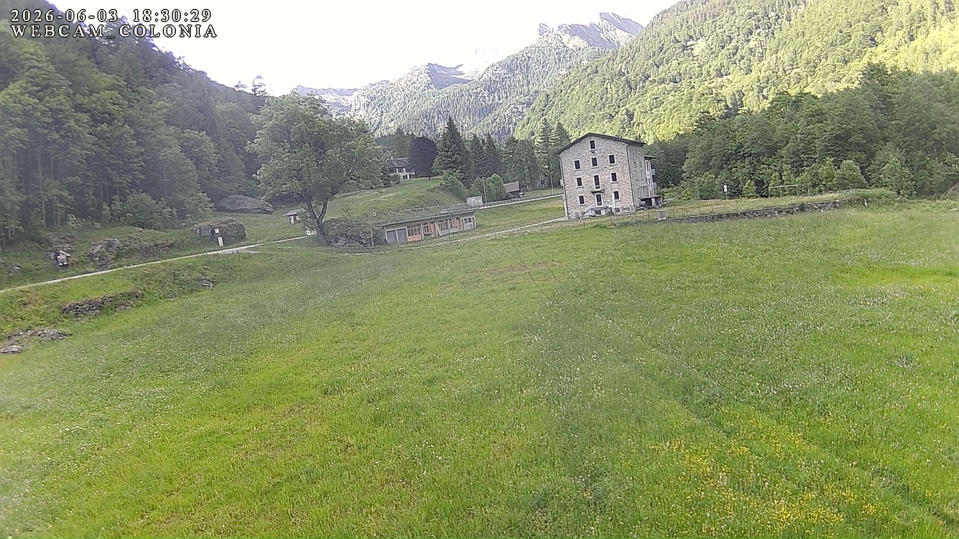 webcam mogno