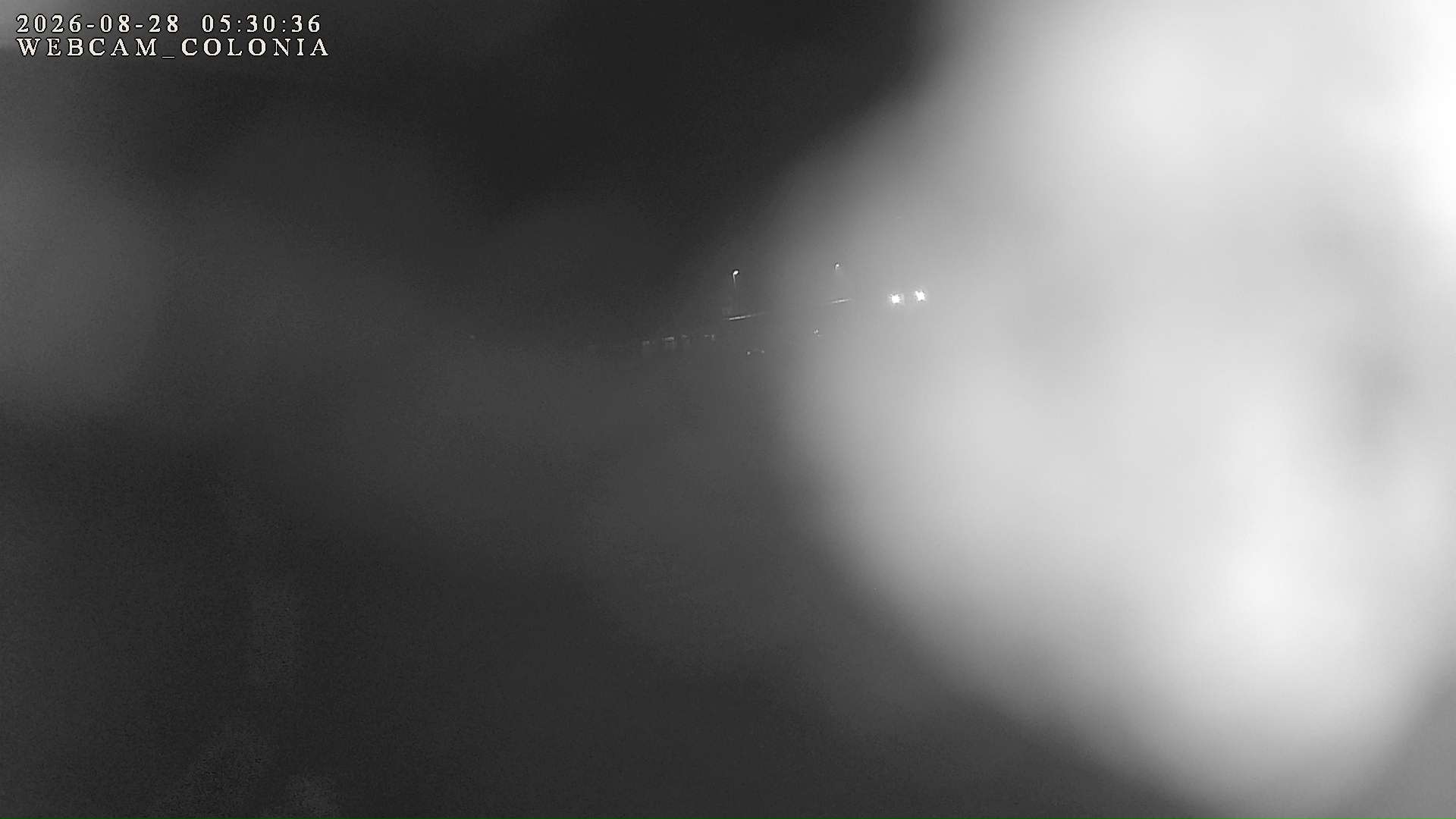 webcam mogno