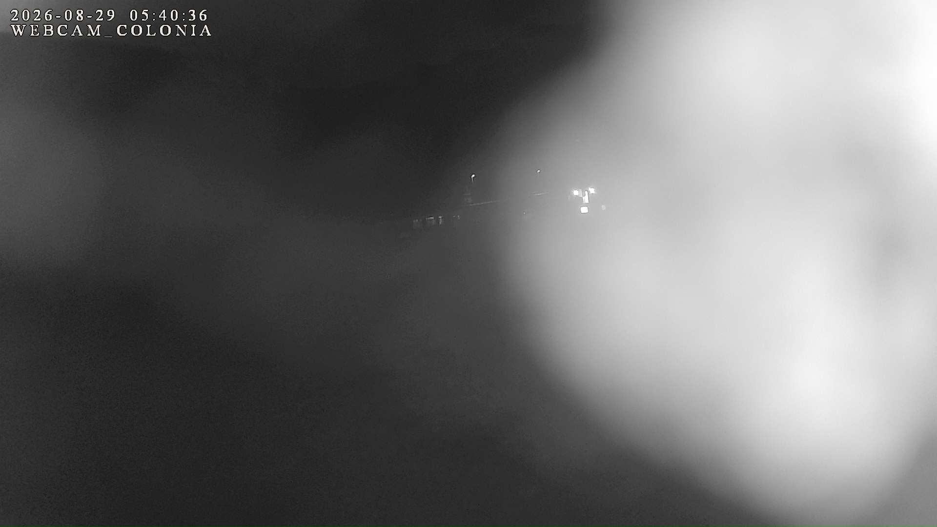webcam mogno