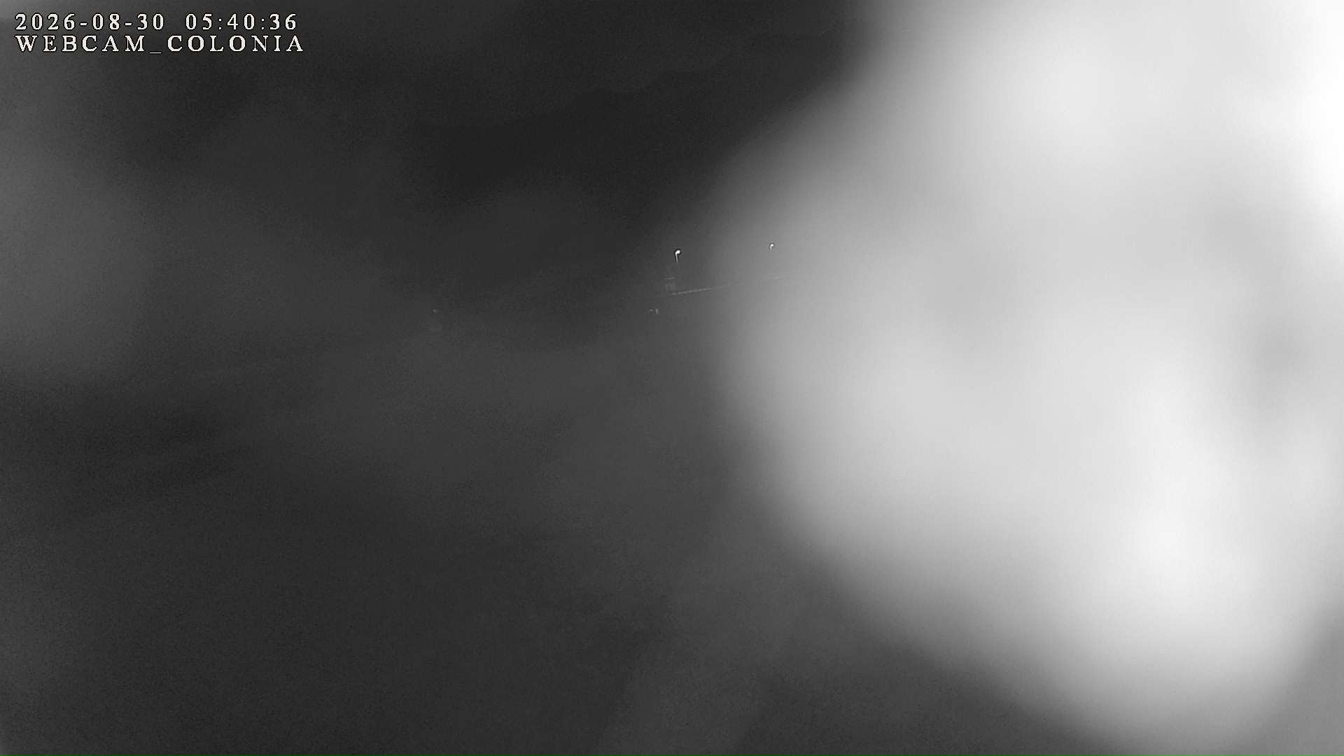 webcam mogno