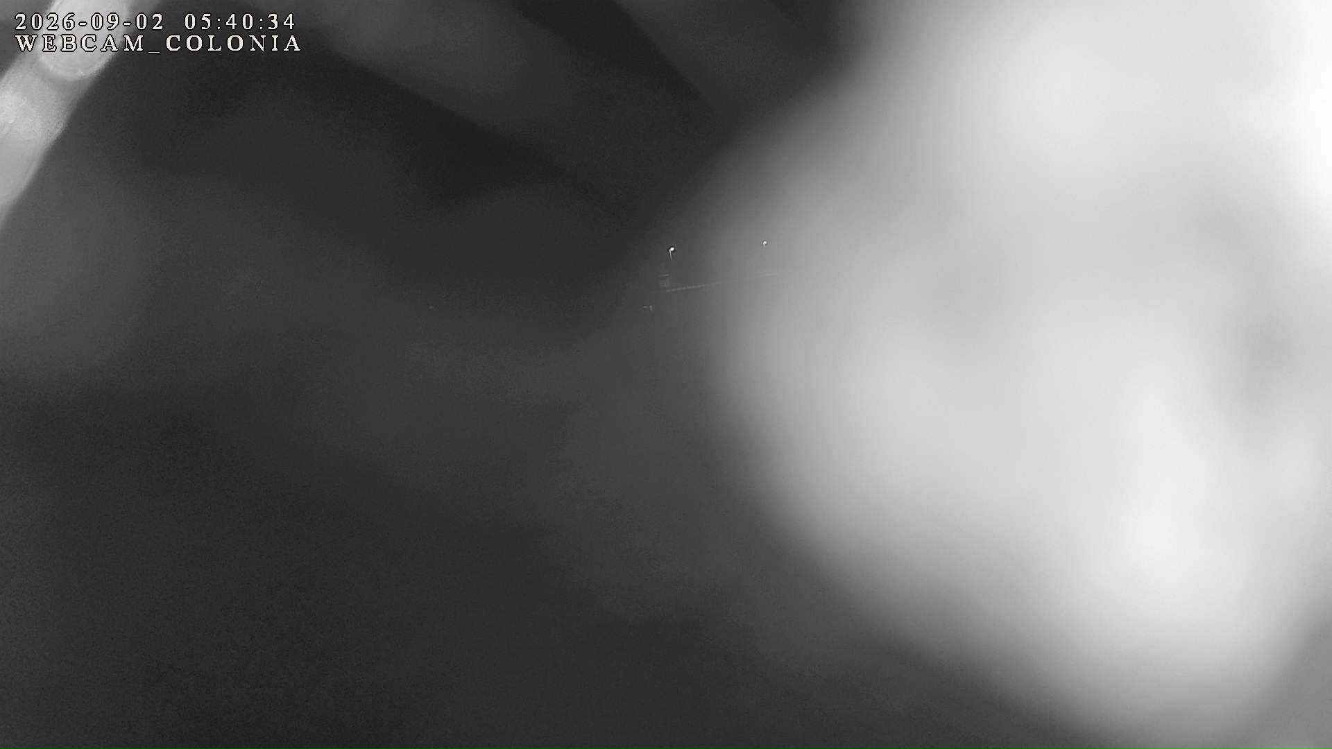 webcam mogno