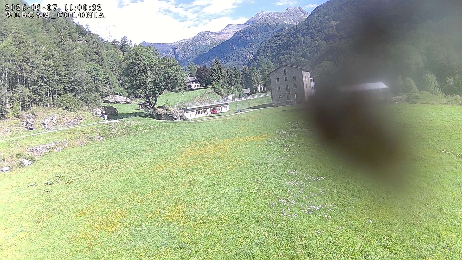 webcam mogno