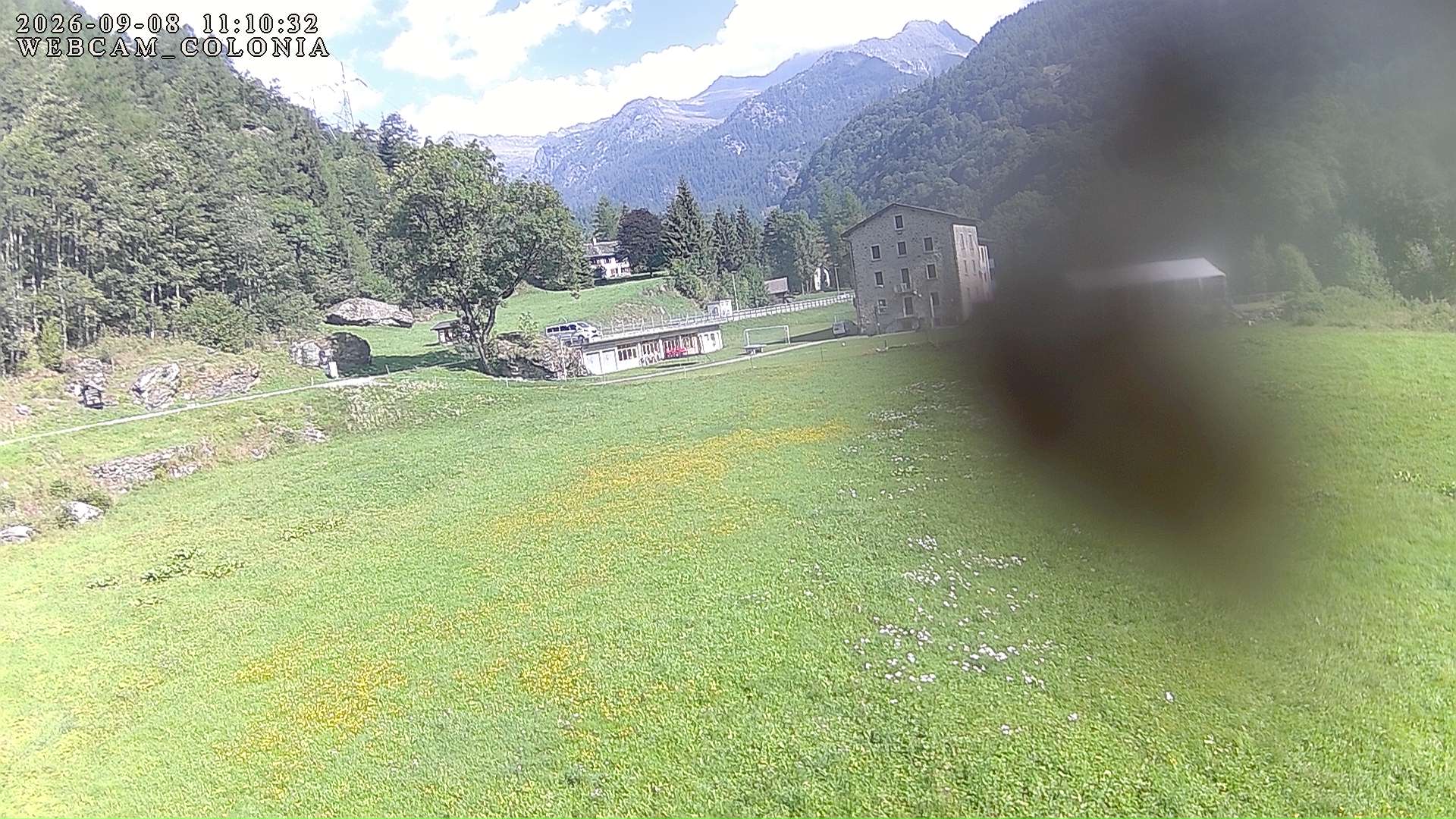 webcam mogno