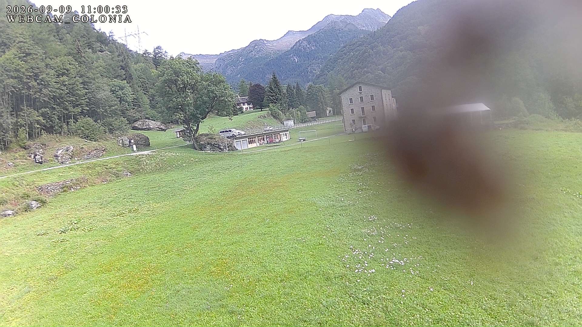 webcam mogno