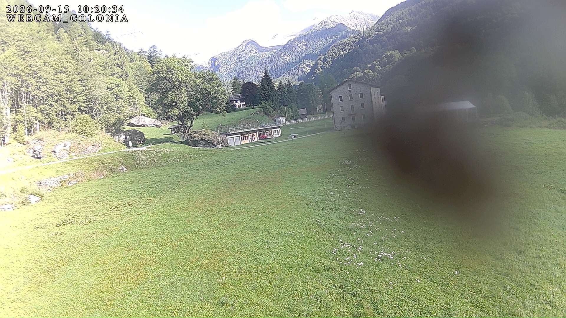 webcam mogno
