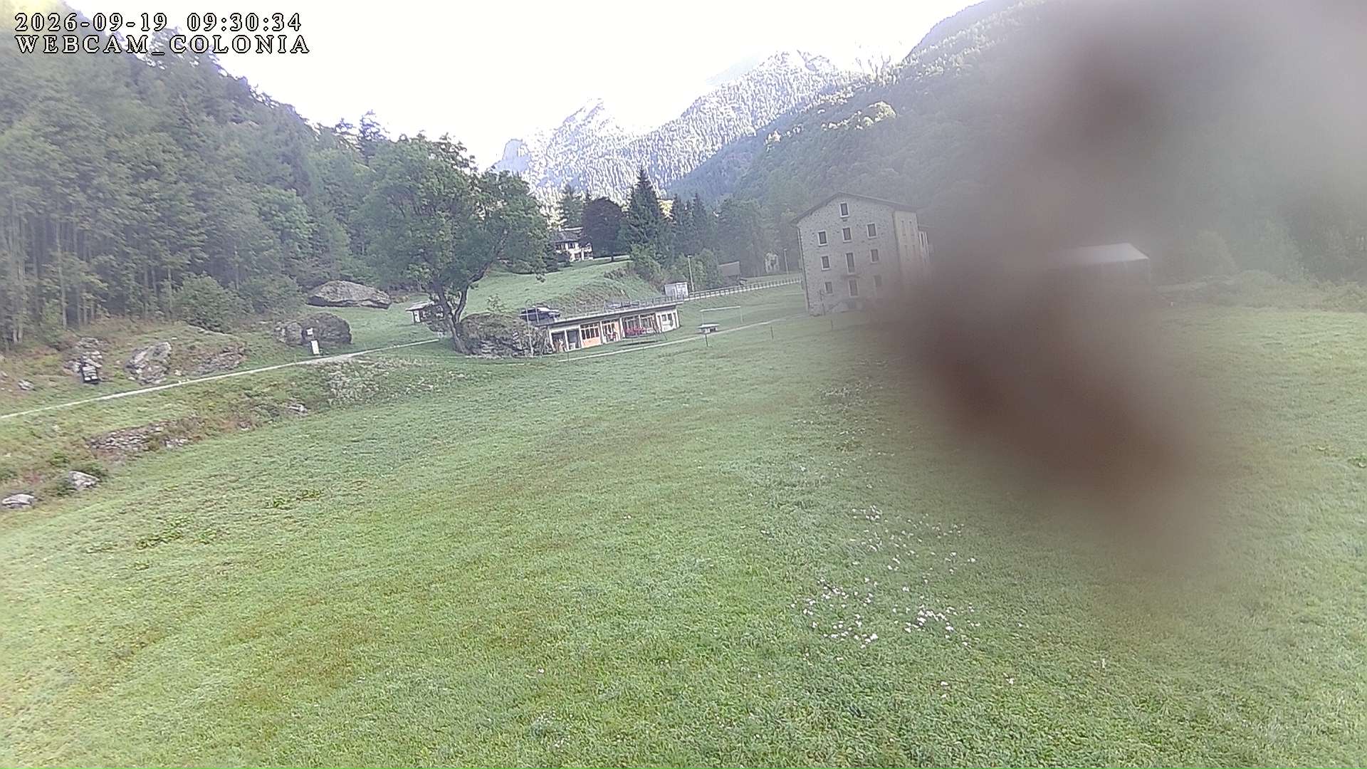 webcam mogno