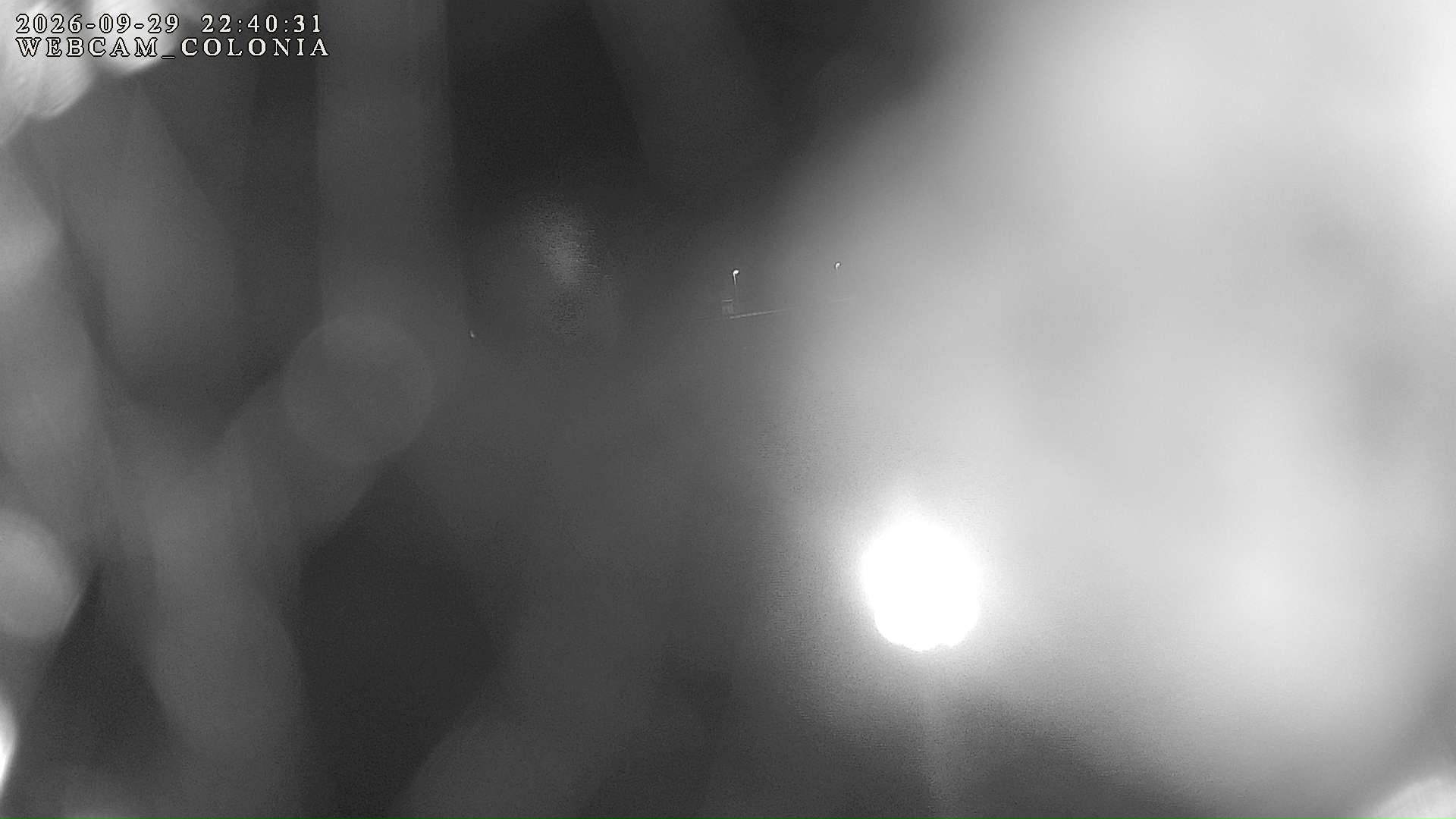webcam mogno