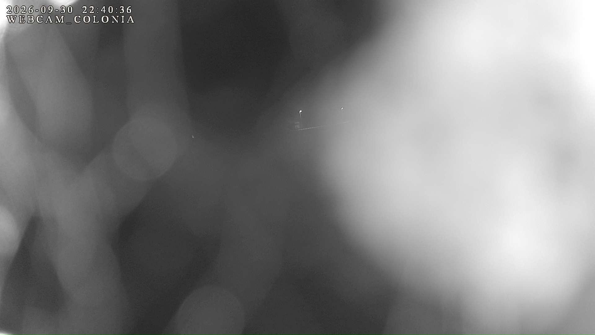 webcam mogno